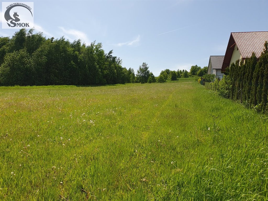 Spokojna działka 6 490 m² z mediami, Jastrzębia - zapraszam Jastrzębia  6 490m2 Foto 1
