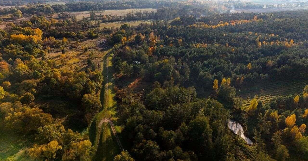 Działka budowlana na sprzedaż Niwy Ostrołęckie  2 385m2 Foto 3