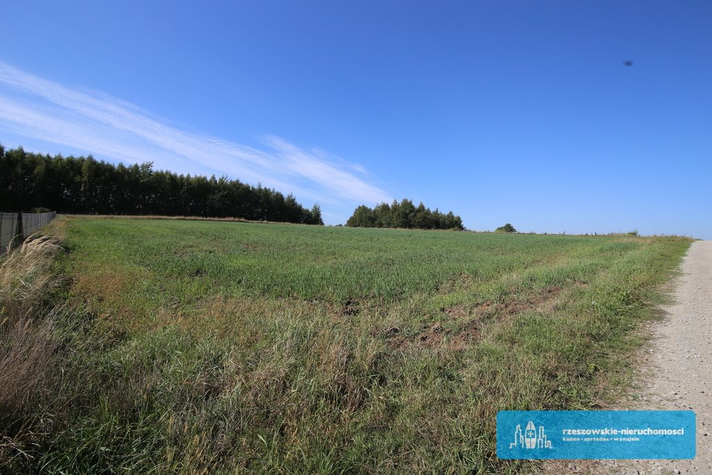 Działka budowlana na sprzedaż Niechobrz  5 000m2 Foto 3