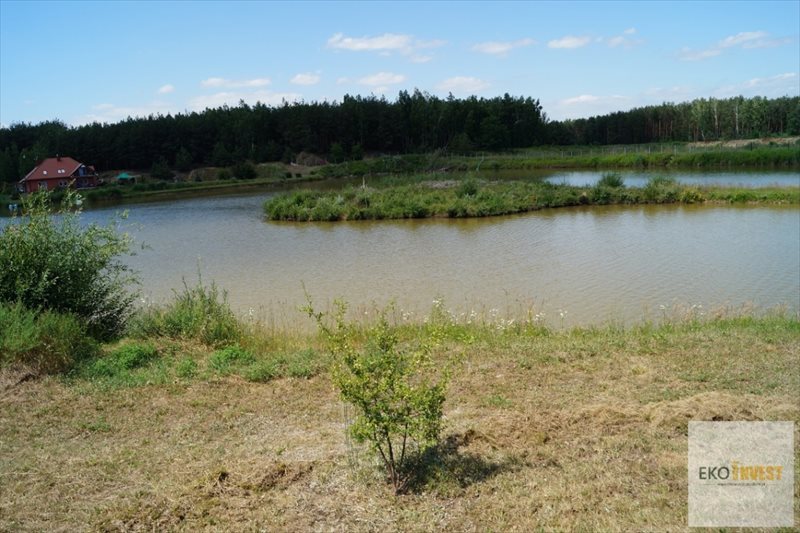 Działka budowlana na sprzedaż Winnica 2 300m2 Foto 1 Działka budowlana na sprzedaż Winnica 2 300m2 Foto 1