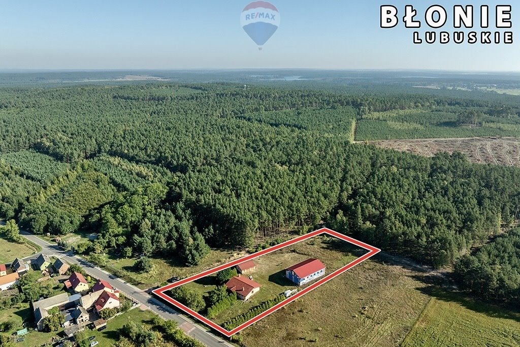 Dom z halą i potencjałem na dużej działce w Błoniu Błonie  156m2 Foto 1