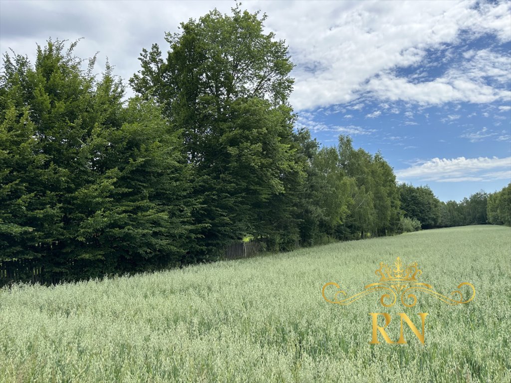 Działka rolna na sprzedaż Starościn  5 700m2 Foto 6