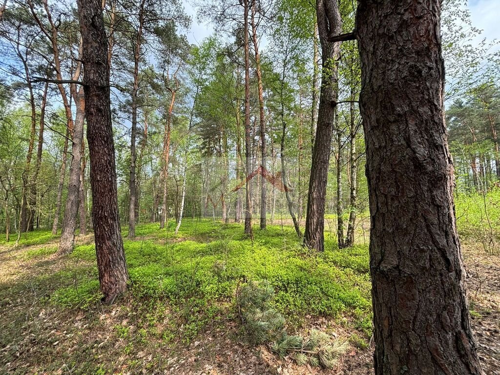 Działka budowlana na sprzedaż Wiązowna, Jagodowa  4 958m2 Foto 8