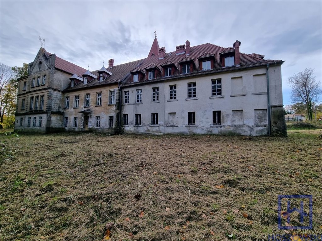 Lokal użytkowy na sprzedaż Grabiszyce Średnie, Grabiszyce Średnie  1 149m2 Foto 4