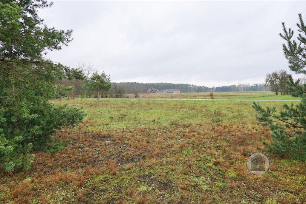 Działka 3298 m2 z możliwością zabudowy, blisko lasu Goszczanowiec  3 298m2 Foto 1