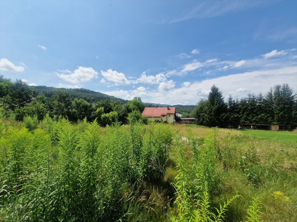 Działka przemysłowo-handlowa na sprzedaż Sosnówka  1 000m2 Foto 5