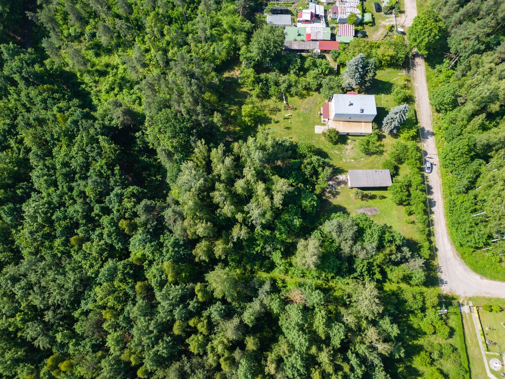 Działka budowlana na sprzedaż Ostrowiec Świętokrzyski, Las Rzeczki  2 356m2 Foto 9