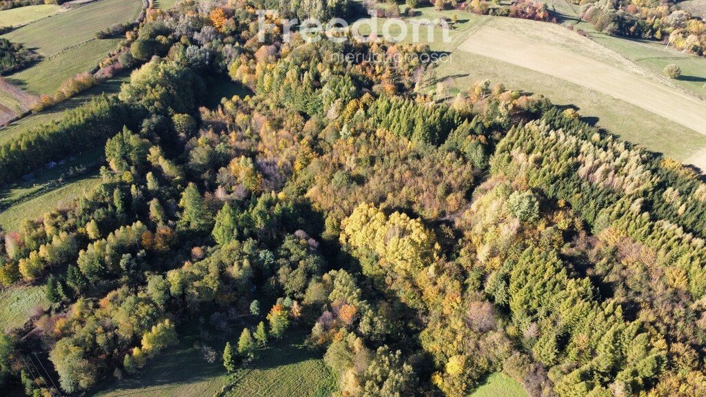 Działka rolna na sprzedaż Posada Górna  3 600m2 Foto 2