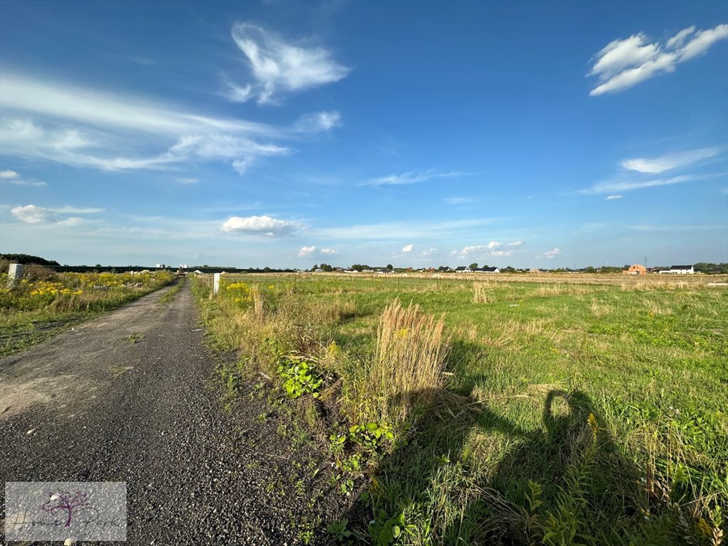 Działka budowlana na sprzedaż Pabianice  850m2 Foto 1