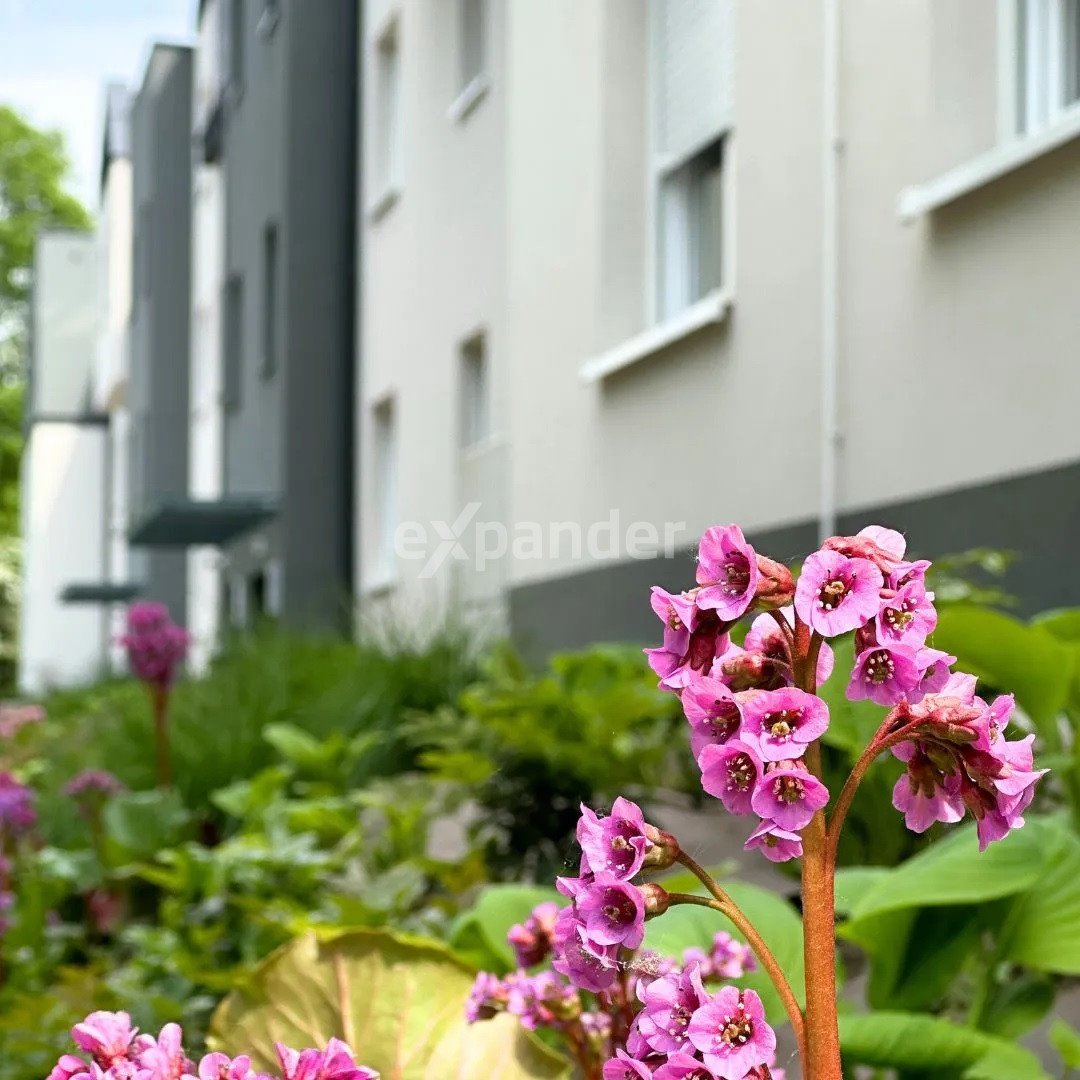 Mieszkanie trzypokojowe na sprzedaż Wrocław, Krzyki, Świątnicka  57m2 Foto 4