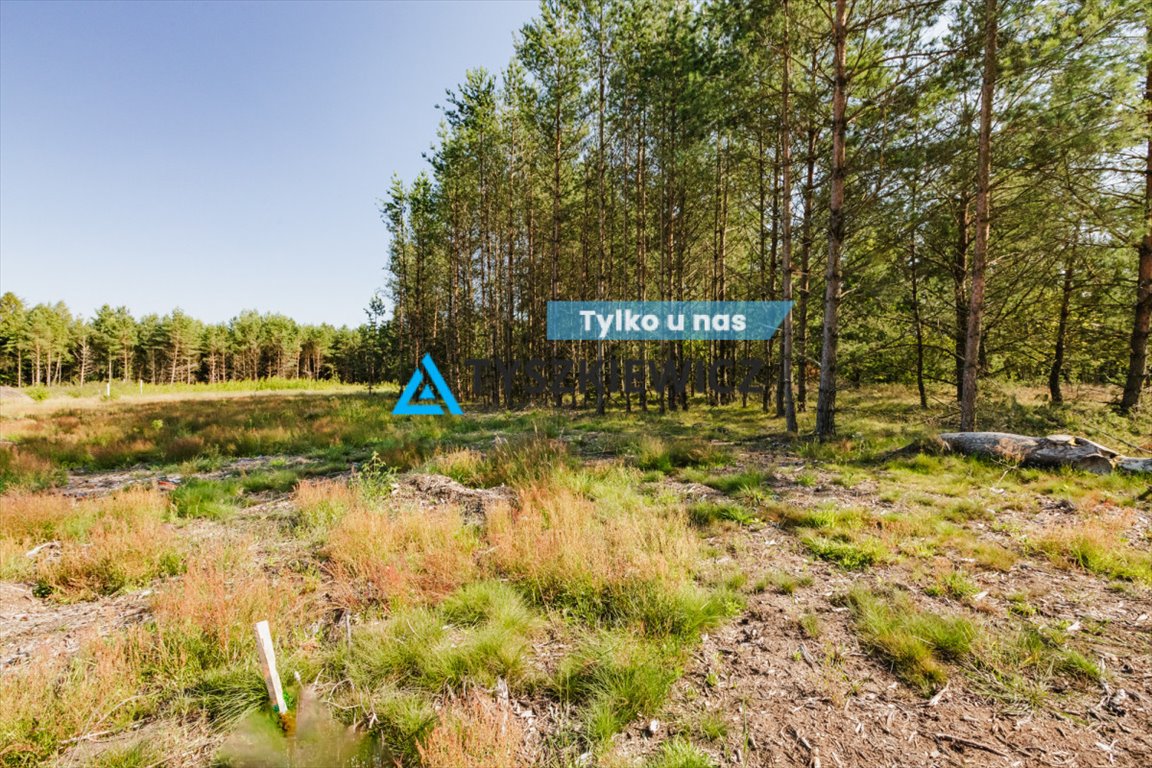 Działka budowlana na sprzedaż Kowalewo, Smolna  1 415m2 Foto 1