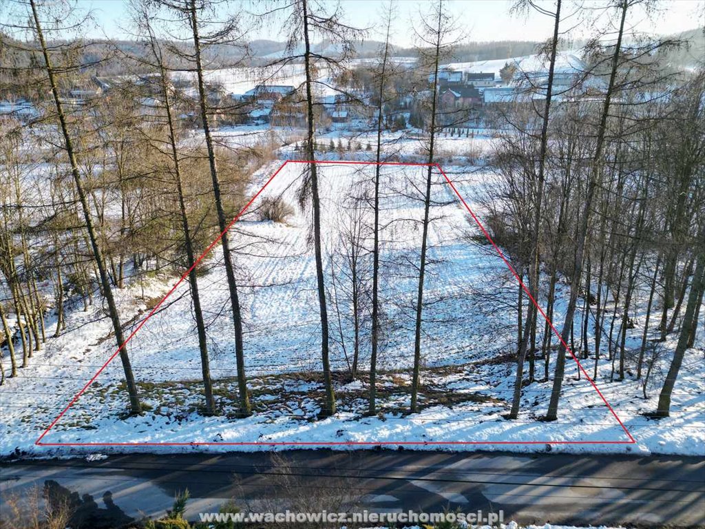 Działka budowlana na sprzedaż Kalina Wielka  4 700m2 Foto 1