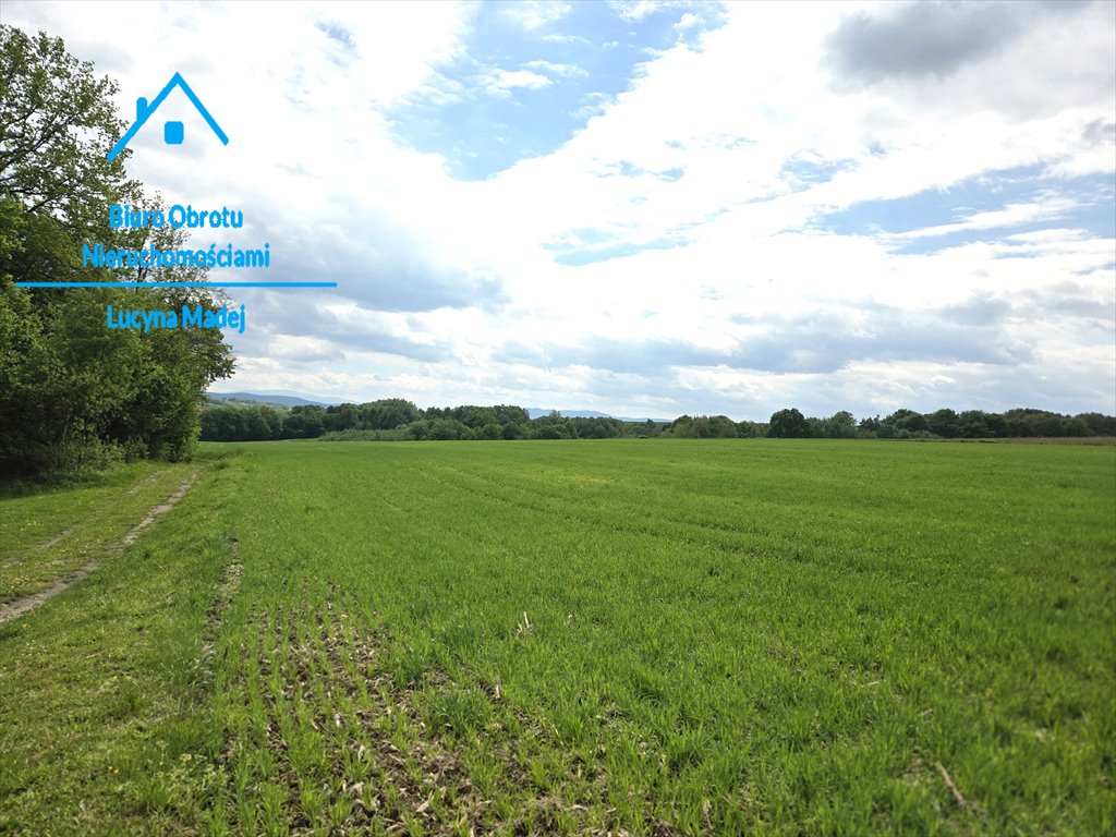 Na sprzedaż działka 35 500 m² z możliwością inwestycji w Wyźrale Wyźrał  35 500m2 Foto 1