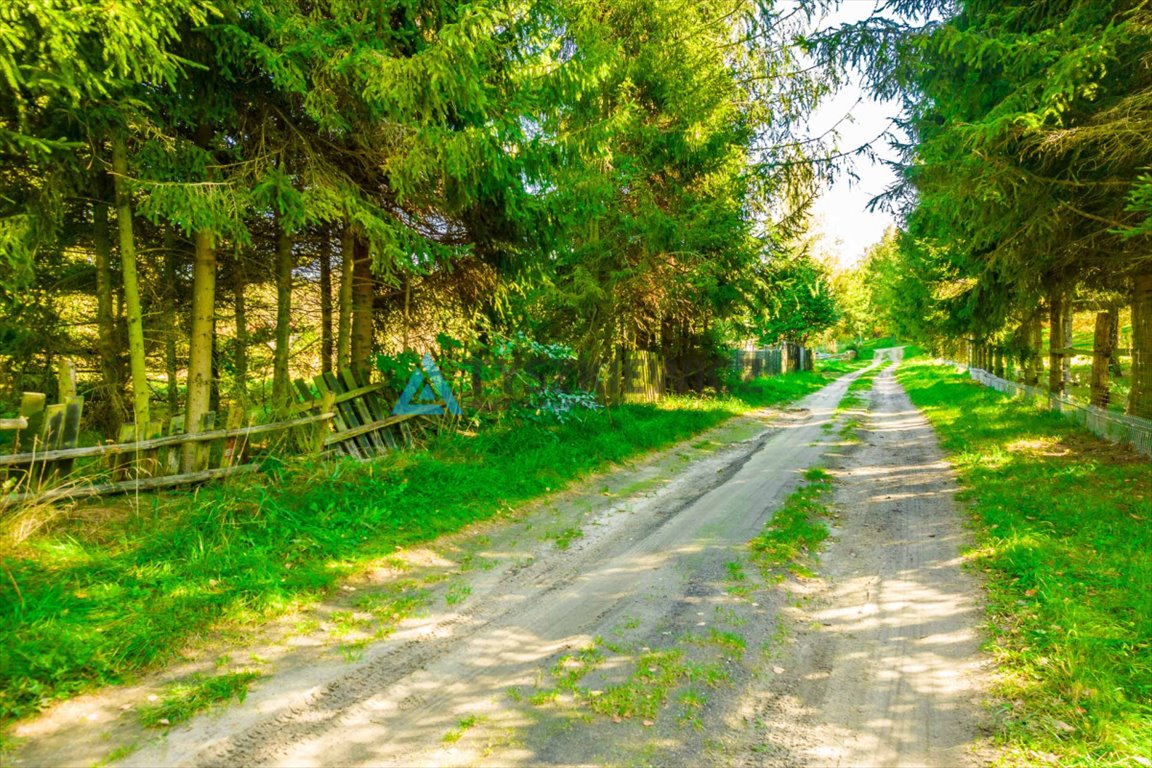 Działka rekreacyjna na sprzedaż Skorzewo, Zielona  1 250m2 Foto 8