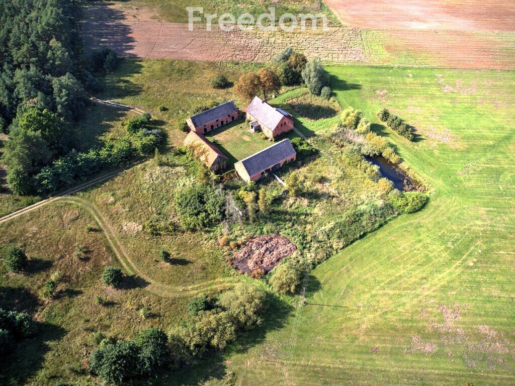 Dom na sprzedaż Jędrzejewo  300m2 Foto 5