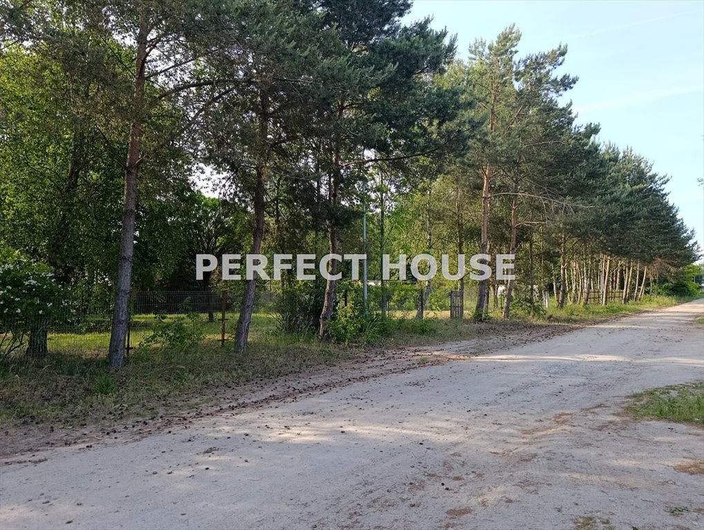 Działka 899 m² w Rabowicach z zielonym ogrodem i pełnym uzbrojeniem Rabowice  899m2 Foto 1