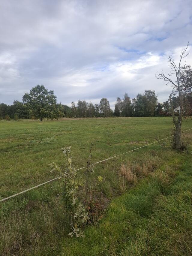 Polecam działkę 1099 m² pod dom w Woli Błędowskiej Wola Błędowska  1 099m2 Foto 1