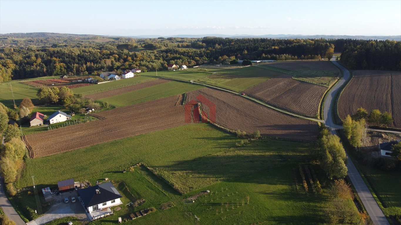 Działka budowlana na sprzedaż Broniszów  2 769m2 Foto 10