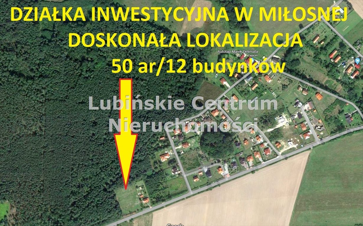 Działka inna na sprzedaż Miłosna  5 000m2 Foto 1