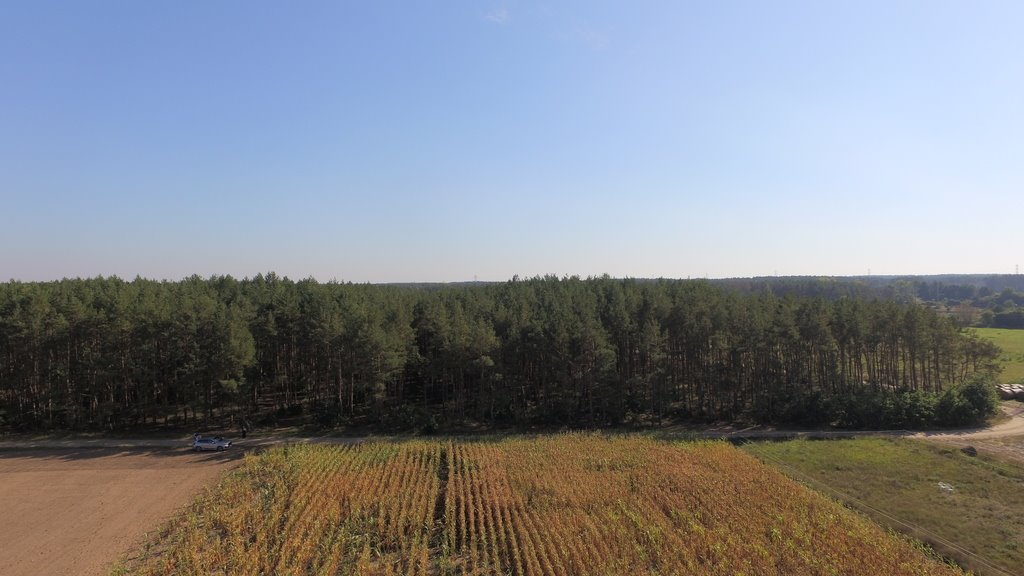 Działka budowlana na sprzedaż Dziersławice  1 000m2 Foto 3