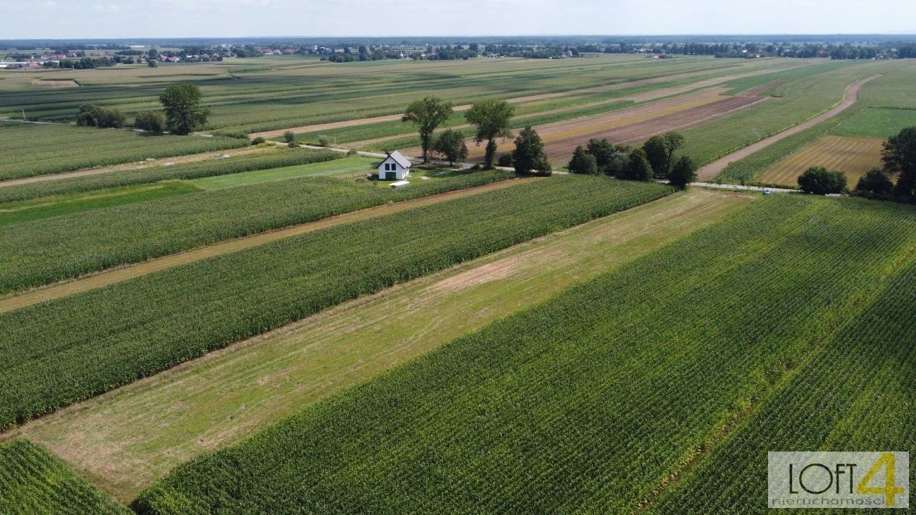 Działka budowlana na sprzedaż Borzęcin  4 400m2 Foto 7