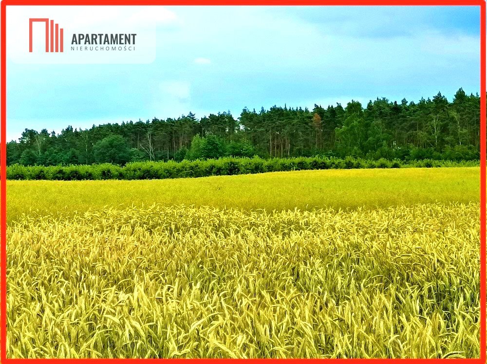 Działka 862 m² z mediami, las, 8 km od Bydgoszczy Szczutki  862m2 Foto 1