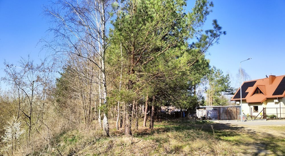 Dwie działki po kopalni piachu, 24 069 m2, Radom Radom, Godów, Sołtyków, Ciborowska  24 069m2 Foto 1