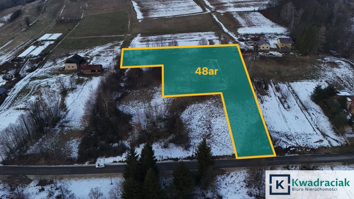 Działka 48 ar z prądem i światłowodem, spokojna okolica Pietrusza Wola  4 800m2 Foto 1