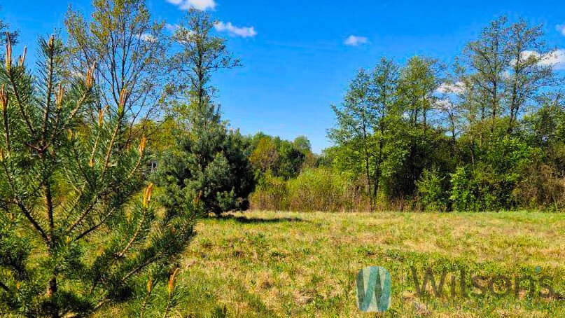 Działka siedliskowa 1940 m² z warunkami zabudowy - polecam! Zambski Kościelne  1 940m2 Foto 1