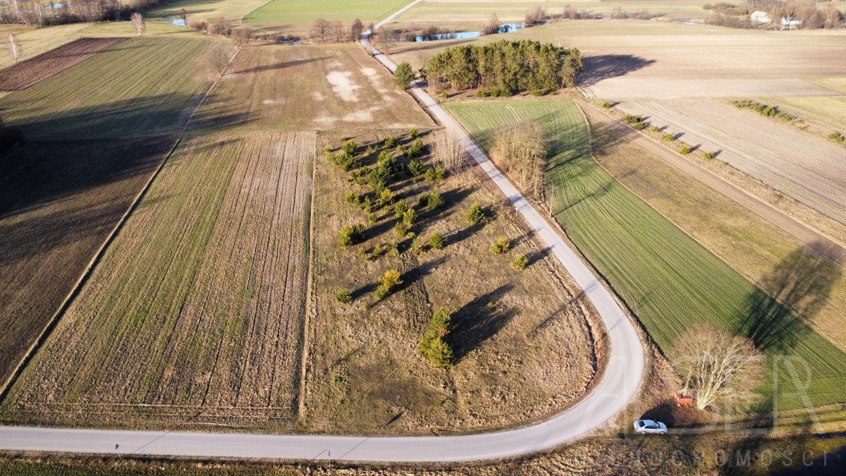 Działka budowlana na sprzedaż Grądy Szlacheckie  9 800m2 Foto 4