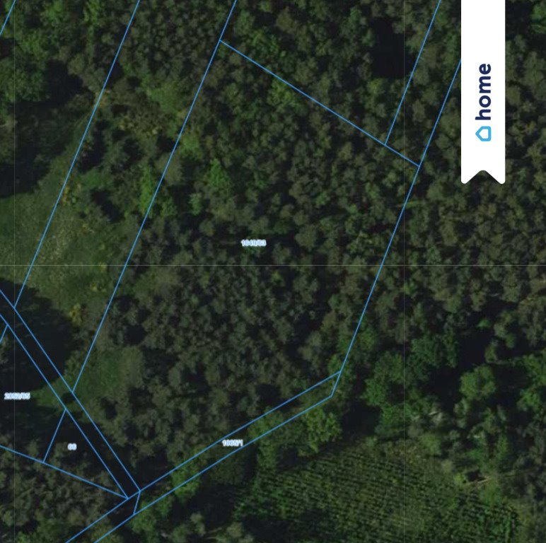 Zapraszam do obejrzenia działki 10 700 m² w Brynicy Brynica  10 700m2 Foto 1