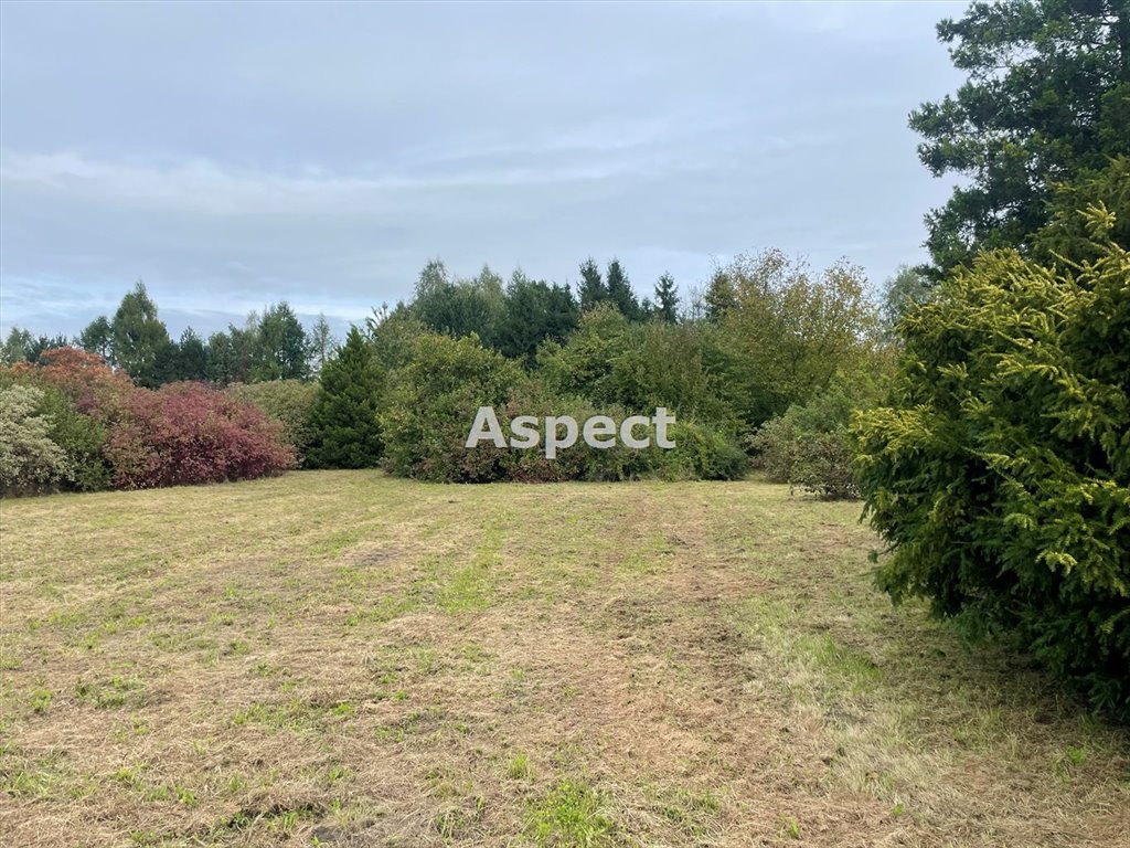 Działka budowlana na sprzedaż Turza Śląska  2 476m2 Foto 1