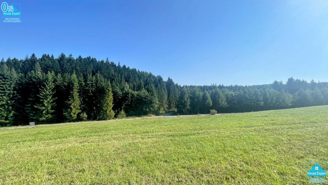 Działka inna na sprzedaż Krynica-Zdrój, Kopciowa  5 100m2 Foto 1