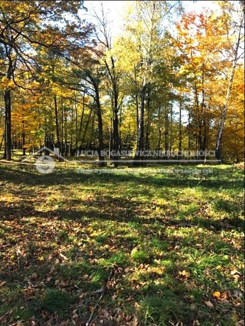 Działka z potokiem w Jaworzu - okazja! Zapraszam Jaworze  8 508m2 Foto 1