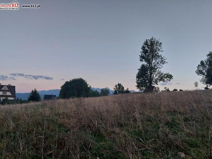 Działka rolna na sprzedaż Bukowina Tatrzańska, Bukowina Tatrzańska, Wierch Rusinski  1 475m2 Foto 4