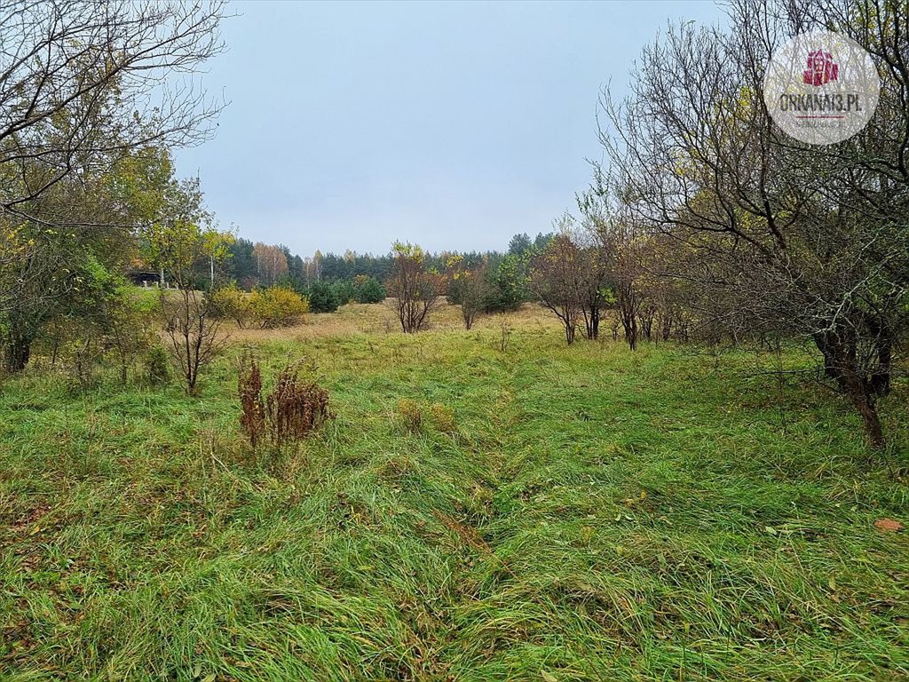 Działka rolna na sprzedaż Stara Kaletka, Stara Kaletka  5 207m2 Foto 9