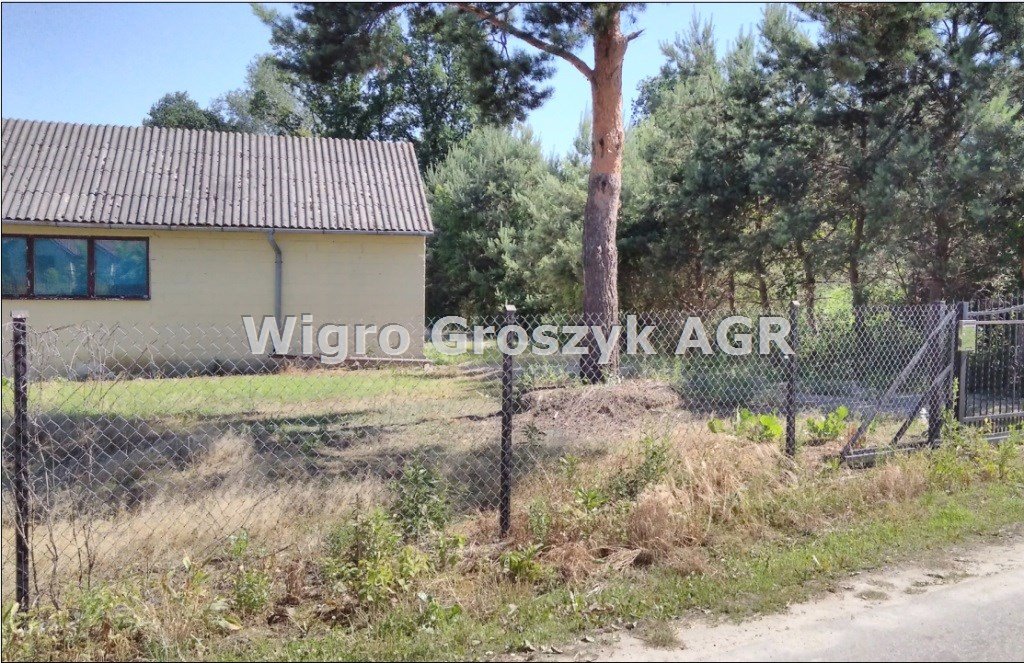 Działka rolna na sprzedaż Miączyn  4 300m2 Foto 6