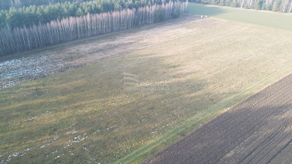 Działka rolna na sprzedaż Nowa Wieś  15 730m2 Foto 5