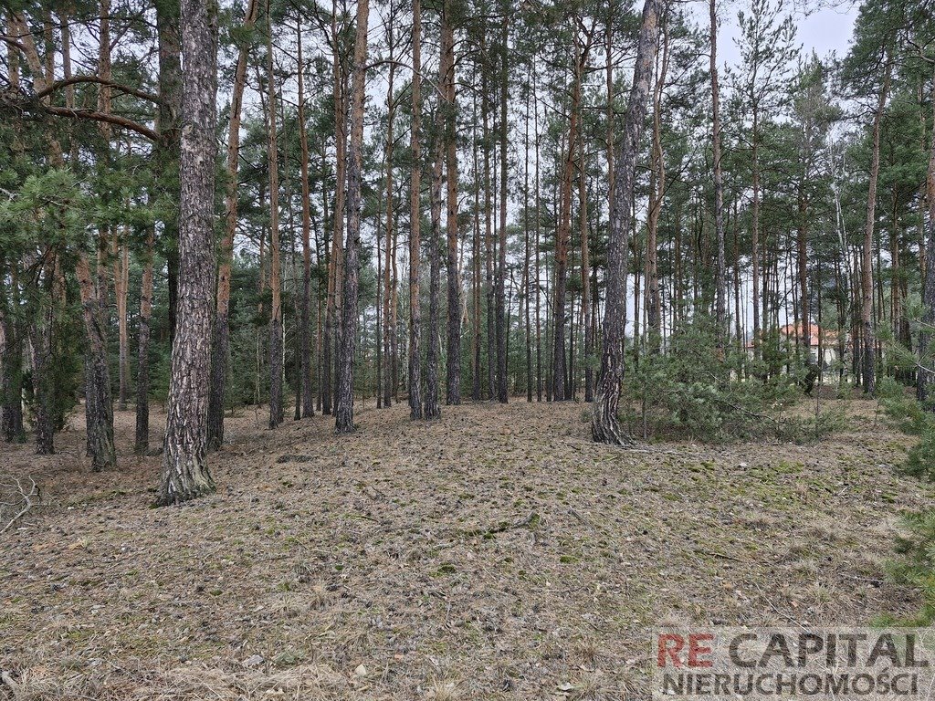 Działka inwestycyjna na sprzedaż Adelin  3 731m2 Foto 3