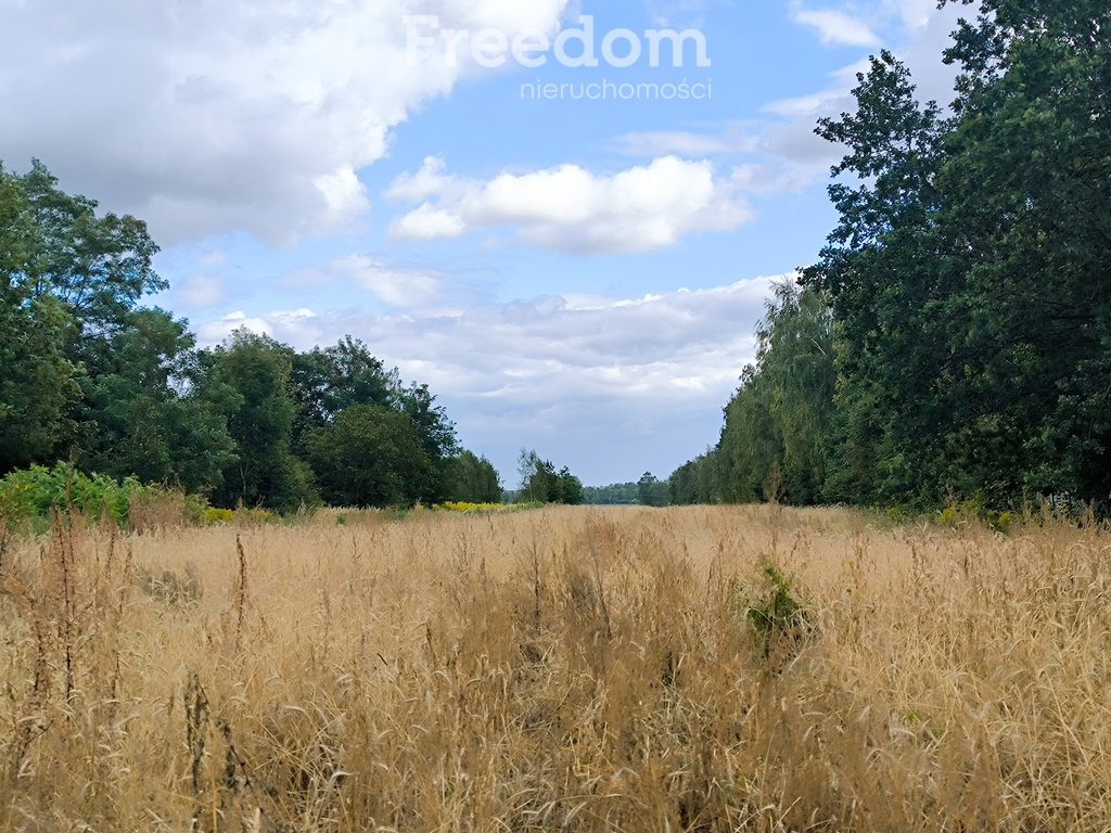 Działka 19 583 m² z mediami - potencjał inwestycyjny Mszczonów  19 583m2 Foto 1