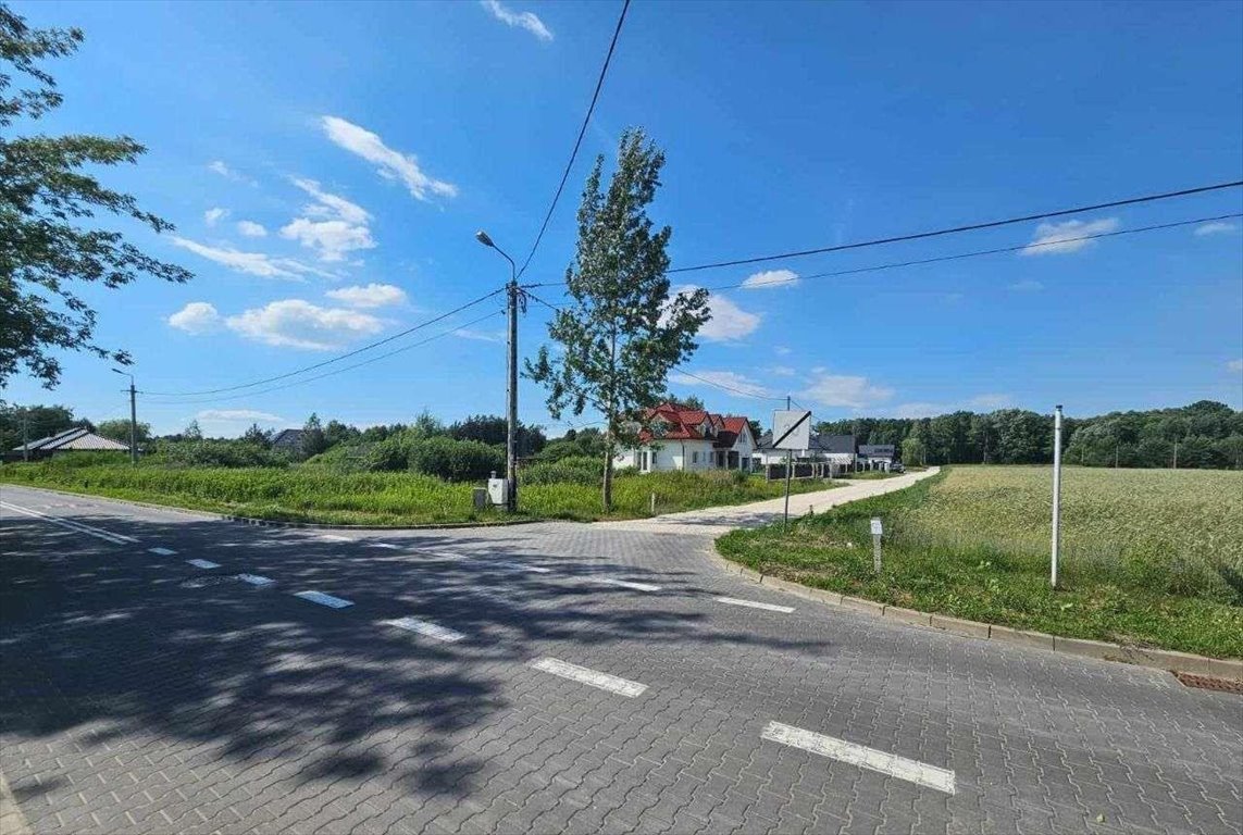 Działka inwestycyjna na sprzedaż Wilcza Góra  4 727m2 Foto 4