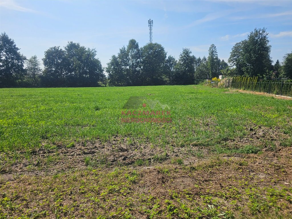 Działka inna na sprzedaż Pszczyna  1 050m2 Foto 2