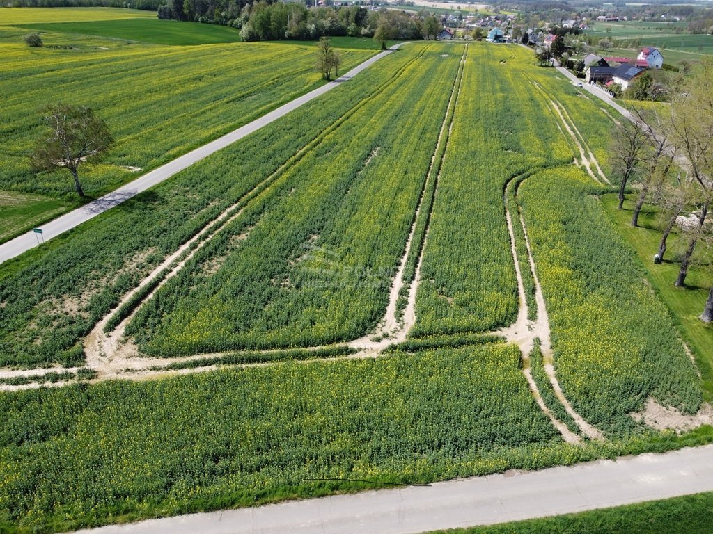 Działka budowlana na sprzedaż Żeliszów  1 384m2 Foto 3