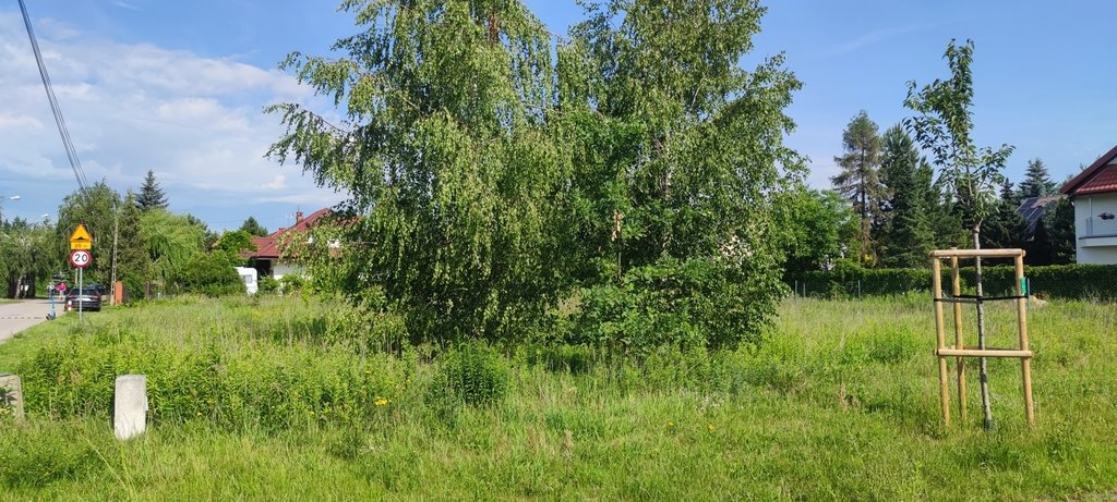 Działka budowlana na sprzedaż Kwirynów, Kalinowa  1 248m2 Foto 3