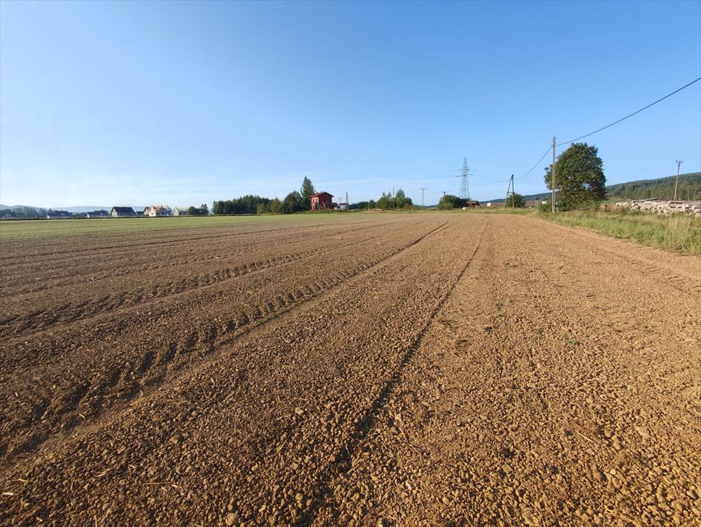 Działka budowlana na sprzedaż Czadrów  1 545m2 Foto 1