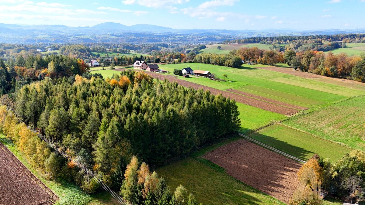 Działka budowlana na sprzedaż Polna  1 823m2 Foto 7