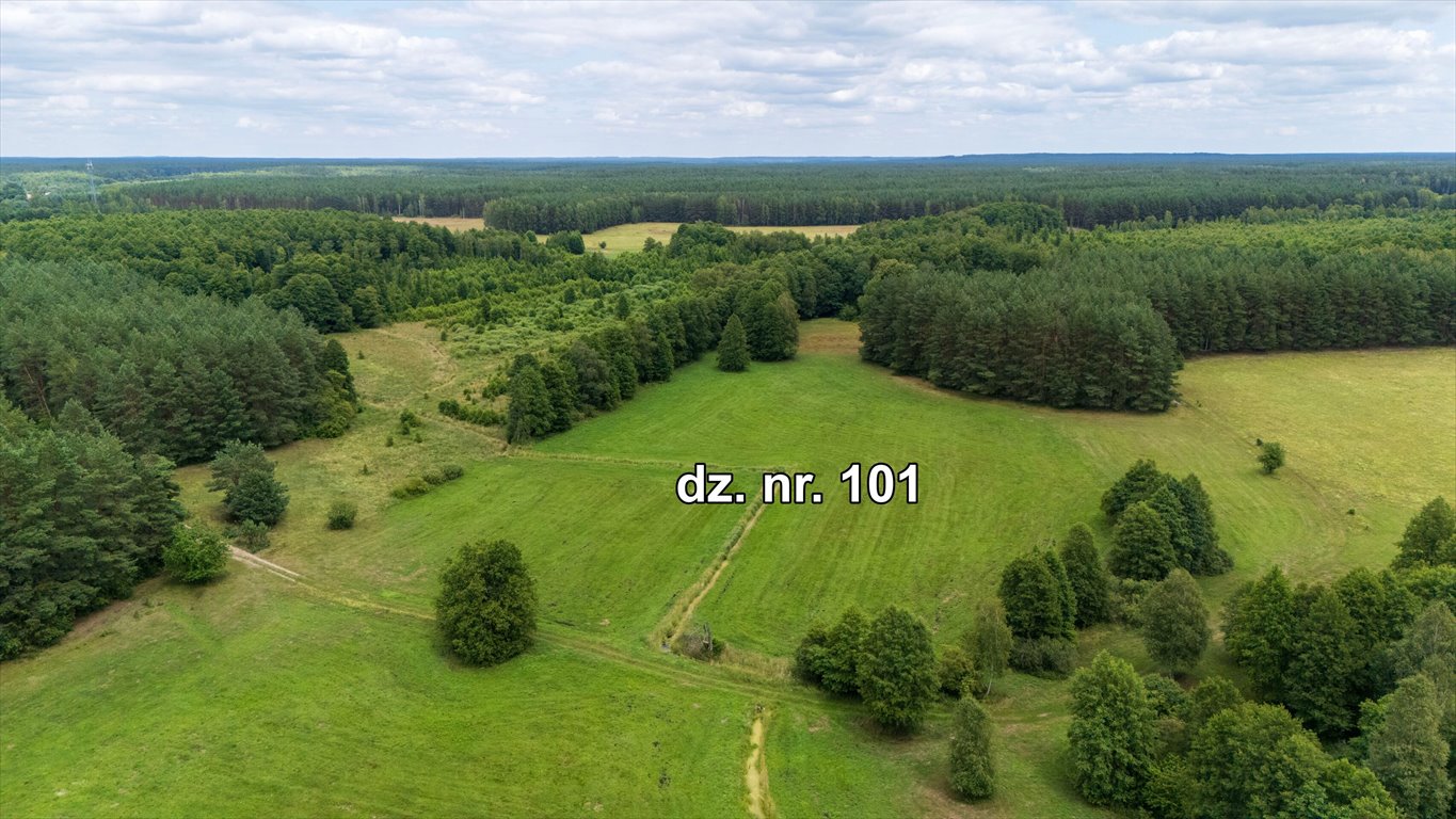 Działka rolna na sprzedaż Rekownica  25 000m2 Foto 1