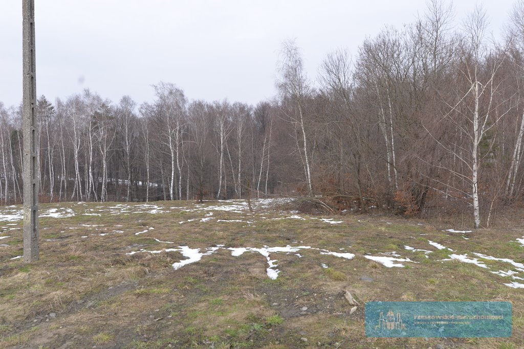 Działka budowlana na sprzedaż Hermanowa  8 000m2 Foto 4