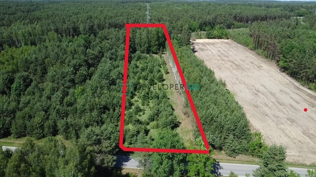 Działka siedliskowa z lasem 6000 m² z WZ pod dom Dąbrówka-Ług  6 000m2 Foto 1