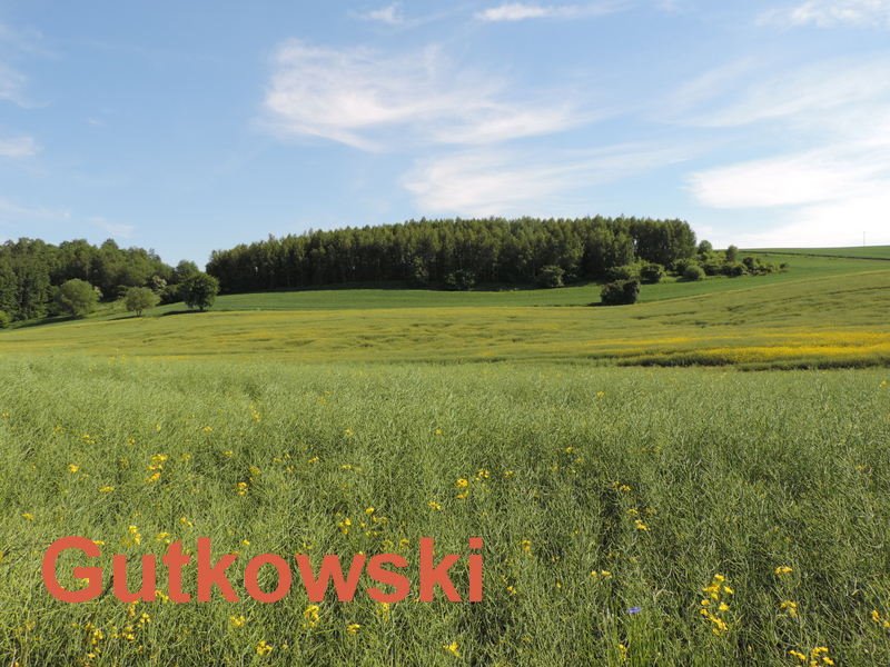 Działka rekreacyjna na sprzedaż Lekarty, gmina Nowe Miasto Lubawskie  18 835m2 Foto 10